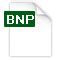 bnp file